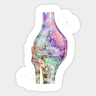 Knee bone Sticker